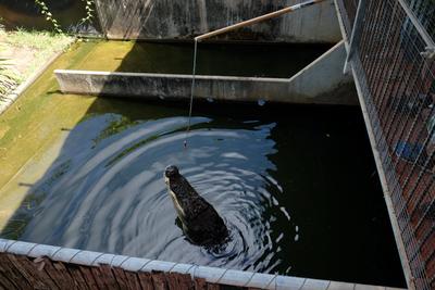 /pic/trip2017/11_darwin_DSCF8808.JPG